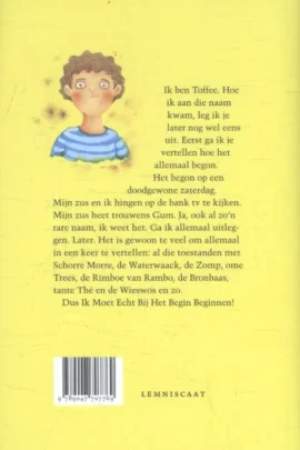 Alternative view of De Waterwaack van Natterlande