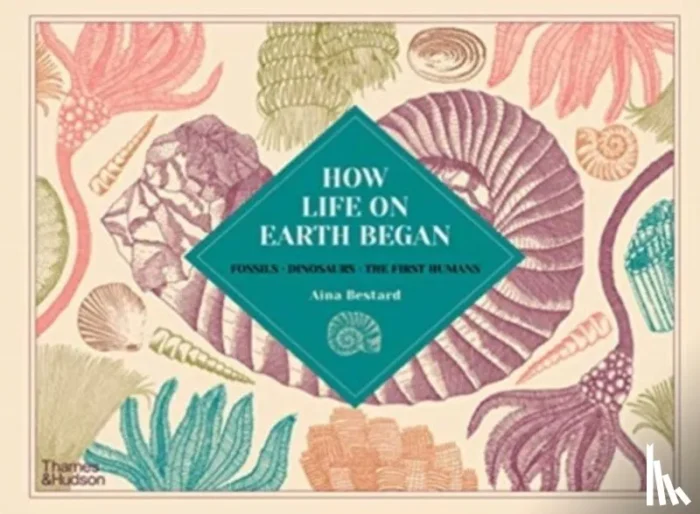 Fossils · Dinosaurs · The First Humans