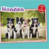 Honden | 9789463411776
