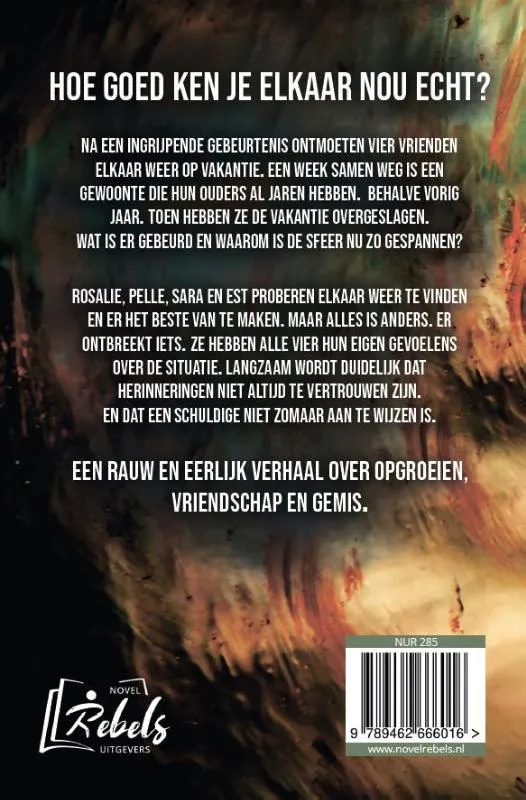 Wat wij niet zagen | 9789462666016 Wat wij niet zagen - Afbeelding 2