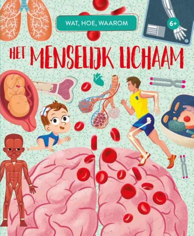 Het menselijk lichaam | 9789036644839 Het menselijk lichaam
