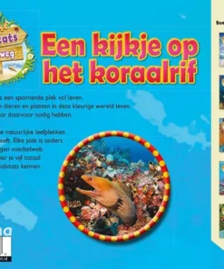Een kijkje op het koraalrif | 9789464393408 Een kijkje op het koraalrif - Afbeelding 2