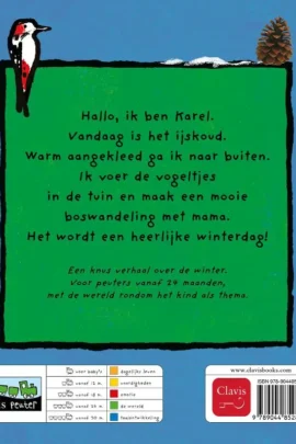 Alternative view of Karel in de winter