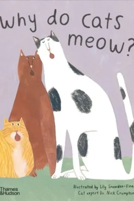 Why do cats meow?