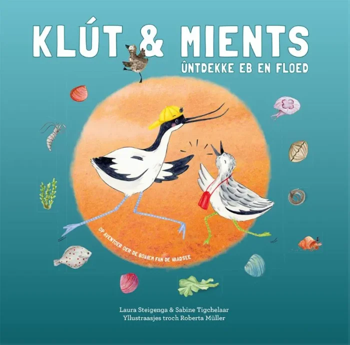 Klút & Mients ûntdekke eb en floed