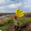 Wind | 9789464391916