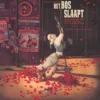 Het bos slaapt | 9789059088870