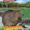 Bevers | 9789464391114