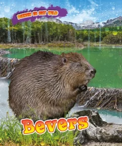 Bevers