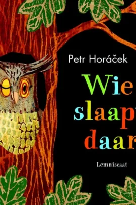 Wie slaapt daar?