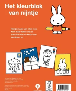 Alternative view of Nijntjes kleurblok