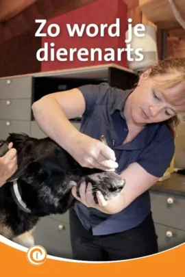Zo word je dierenarts