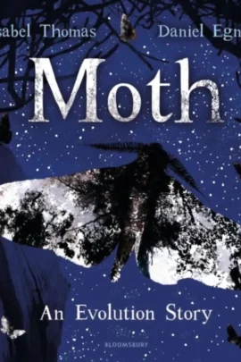 Moth