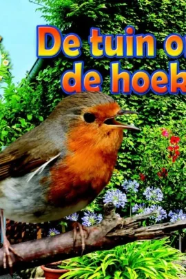 De tuin om de hoek