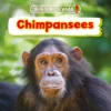 Chimpansees | 9789463416207