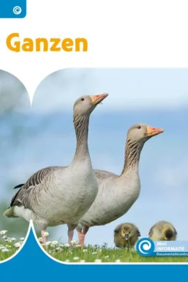 Ganzen