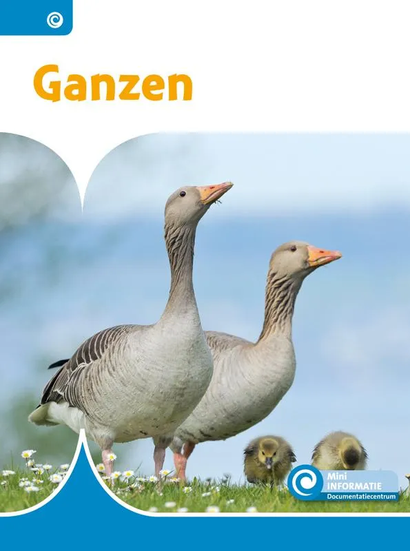 Rapunsel kinderboeken |