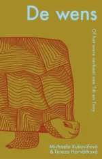 De wens, of Het ware verhaal van Titi en Tony | 9789465000053