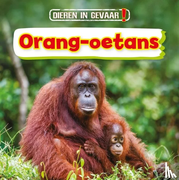 Orang-oetans