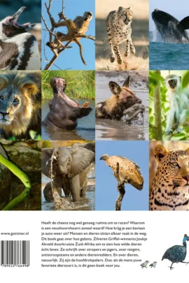 Alternative view of Wij waren hier eerst