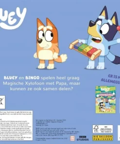 Alternative view of De magische xylofoon