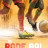 De rode bal | 9789044834901