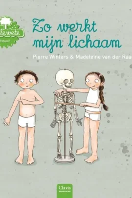 Zo werkt mijn lichaam