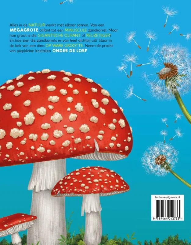 Mega & mini | 9789464042733 Mega & mini - Afbeelding 2