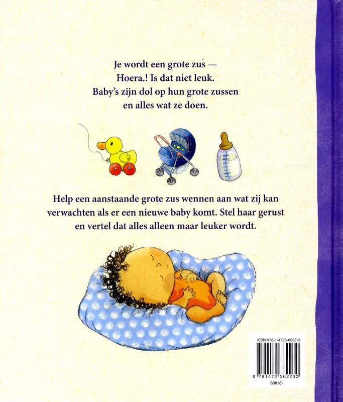 Ik ben je grote zus | 9781472362230 Ik ben je grote zus - Afbeelding 2