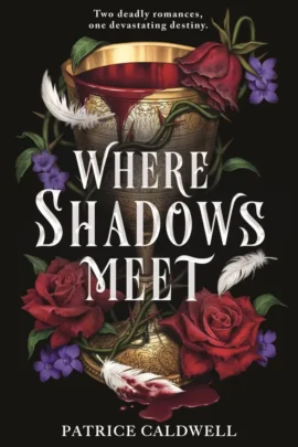 Where Shadows Meet