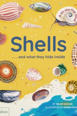 Shells... and what they hide inside