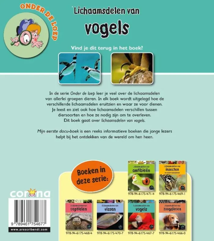 Lichaamsdelen van vogels - Afbeelding 2