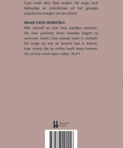 Dit is hoe het ging | 9789463491556