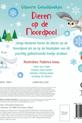 Alternative view of Het dorp van de Kerstman