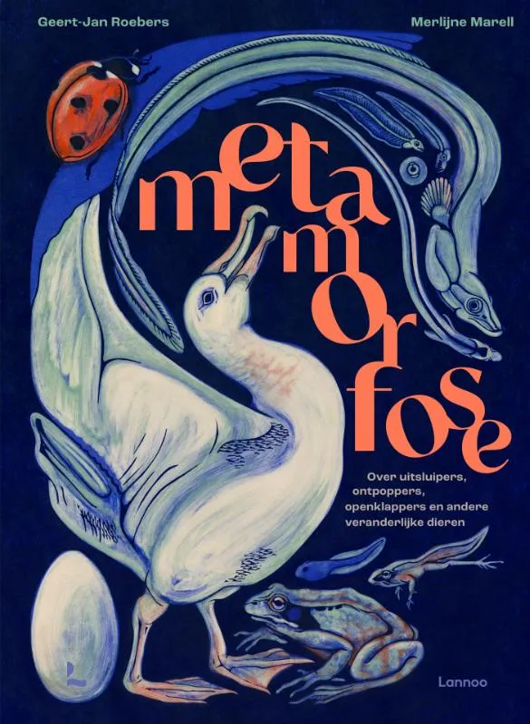 Metamorfose | 9789401441735 Metamorfose
