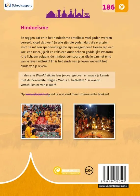 Hindoeïsme | 9789464390599 Hindoeïsme - Afbeelding 2