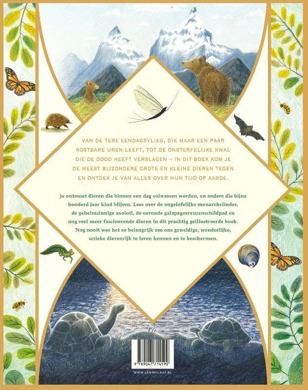 Onze tijd op aarde | 9789047714590 Onze tijd op aarde - Afbeelding 2