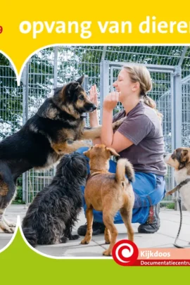 Opvang van dieren