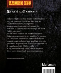 Alternative view of Kamer 333