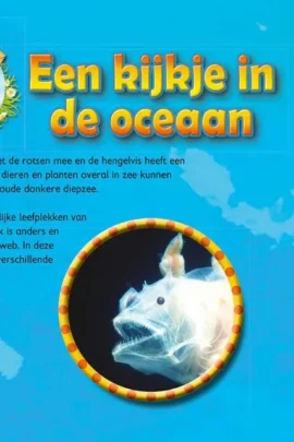 Alternative view of Een kijkje in de oceaan