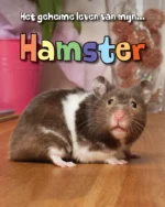 Hamster | 9789463413206