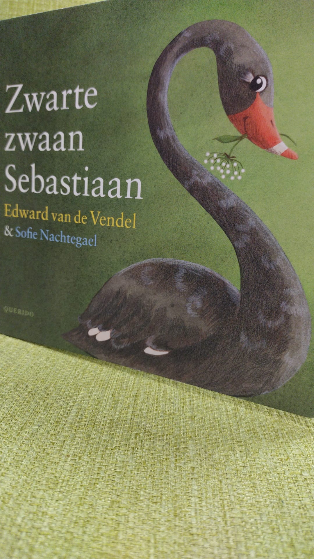 Boekentip: Zwarte zwaan Sebastiaan. |