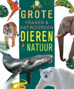Grote vragen & antwoorden
