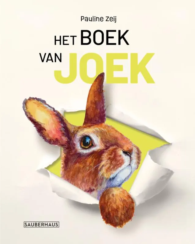 Het boek van Joek | 9789083455631 Het boek van Joek