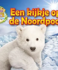 Een kijkje op de Noordpool