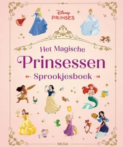 Het magische Prinsessen sprookjesboek