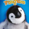 Pinguïn | 9789463412896