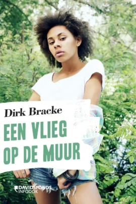 Een vlieg op de muur