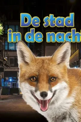 De stad in de nacht