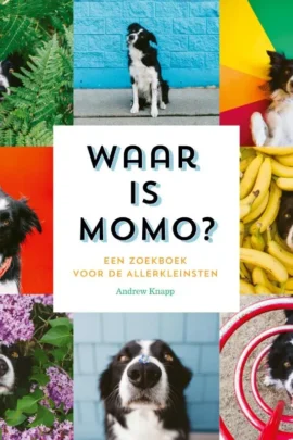 Waar is Momo?